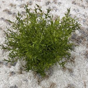 Artificial Greenery Plant Decor (Bag A)